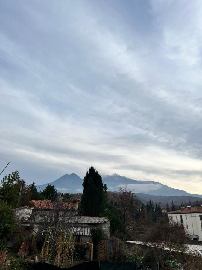 Le Cosy En Coeur De Ville พุราเดส์ ภายนอก รูปภาพ